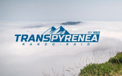 Transpyrenea